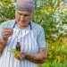 Une personne âgée vérifie ses médicaments et des compléments à base de plantes sur une table.